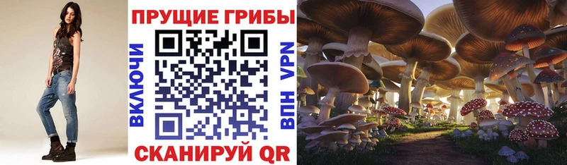 Галлюциногенные грибы Magic Shrooms  Арсеньев 
